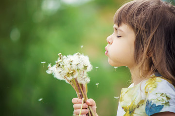 girl blowing dandelions in the air. selective focus. 