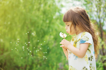 girl blowing dandelions in the air. selective focus. 