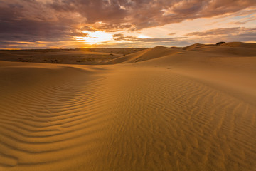 Obraz na płótnie Canvas Beautiful views of the desert landscape. Gobi Desert. Mongolia