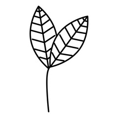 leafs plant decorative icon vector illustration design