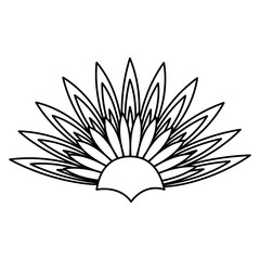 hat with exotic feathers vector illustration design