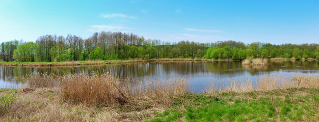 Obraz premium Panoramic image of lake in the woods