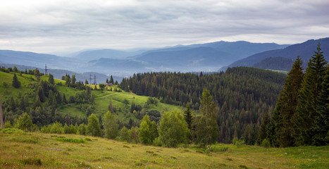 Ukrainian landscape