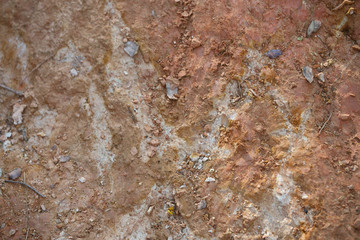 Yellow and earthy background