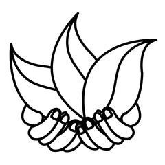 hands human with leafs plant decorative icon vector illustration design