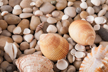 Sea pebbles background, natural seashore stones