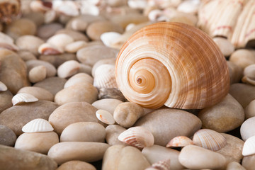 Sea pebbles background, natural seashore stones
