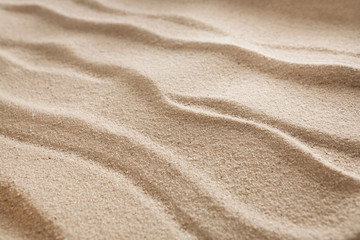 Fototapeta na wymiar Beach sand background. Natural seashore texture surface