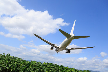 飛行機と青空