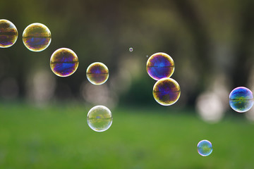 festive background with lots of bright iridescent soap bubble with reflections flying over on a bright summer meadow on a Sunny day