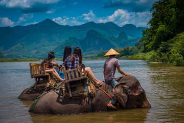 Elephant bathing around Luang Pranbang, Laos