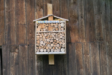 Bee Stock