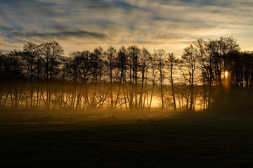 Sonnenaufgang am Müritz-Nationalparkweg bei Schwarzenhof