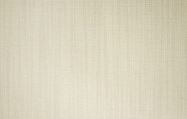 Fototapeta premium Contour Blockout Parchment Texture