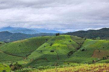 Terraced Rice Field with Hut and Mountain Background , Chiang Mai in Thailand ,Blur Background

