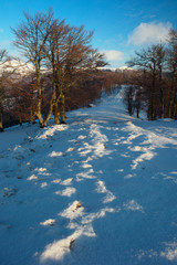 early spring in the mountains