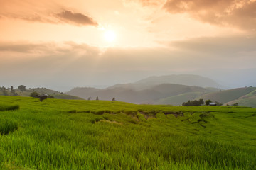 Terraced Rice Field with Hut and Mountain Background , Chiang Mai in Thailand ,Blur Background

