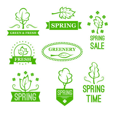 Vector icons of green nature trees for spring sale
