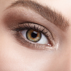 Obraz premium Female eye zone and brows with day makeup