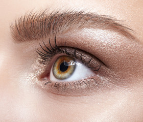 Obraz premium Female eye zone and brows with day makeup