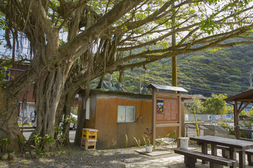 Taken bus stop in Amami oshima island 