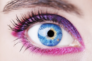 A beautiful insightful look woman's eye. Bright makeup. Close up shot