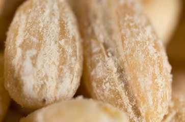 barley as background. macro