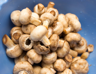 Clean fresh mushrooms in a blue cup