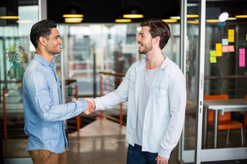 Two colleagues shaking hands in office