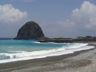Orchid Island Steamed Buns rock