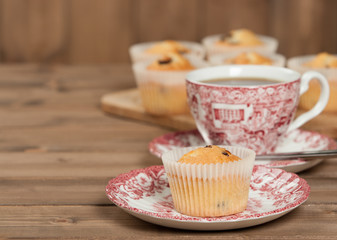 Home Baked Muffins With Coconut, Cranberry, White Chocolate.