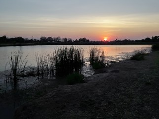 sunsets behind the pond.