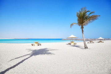 Fototapeta na wymiar Beautiful beach with palm tree, summer holidays concept