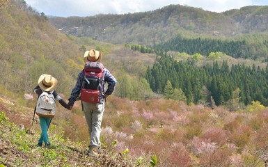 初夏の高原・山桜の森を歩く