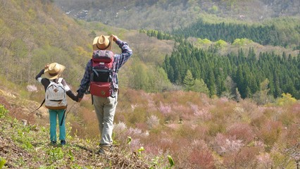 Fototapeta na wymiar 初夏の高原・山桜の森を歩く