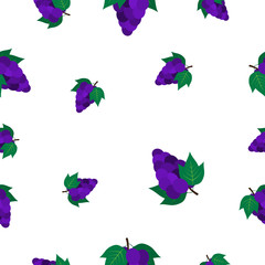 Seamless pattern with grape vector illustration