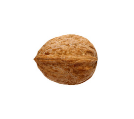 Single walnut isolated on a white