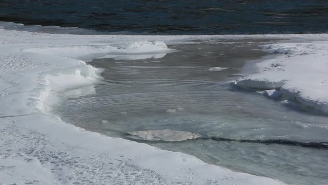 Ice melting in the estuary of the river, Katun River, Ursul River, Altai, Russia