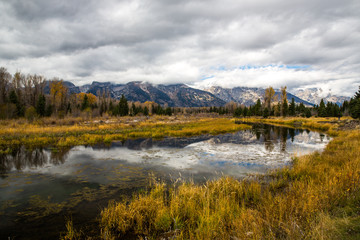 Landscape in Grand Teton National Park, USA.