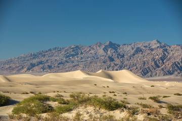 Fototapeta na wymiar Death Valley National Park, USA.