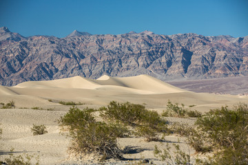 Fototapeta na wymiar Landscape in Death Valley National Park, USA.