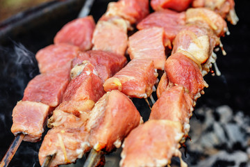 Pork shashlik on skewers