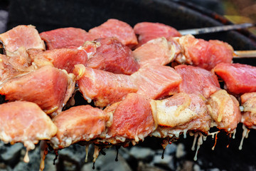 Pork shashlik on skewers