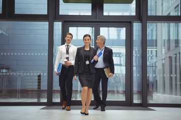 Businesspeople walking together with file