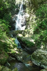 東京都檜原村の払沢の滝