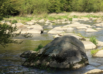 Fototapeta na wymiar Prehistoric big stone in river