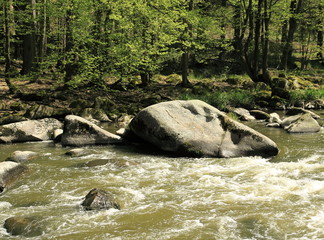 Naklejka premium Giant boulder in spring river