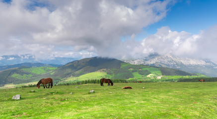 Landscape at Urkiola park in Basque Country