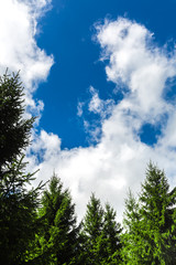 Obraz premium Landscape at Urkiola park in Basque Country