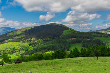 Landscape at Urkiola park in Basque Country